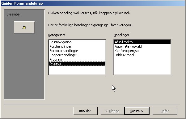 Access VBA kursus - Makroer og knapper 2 - fjernundervisning